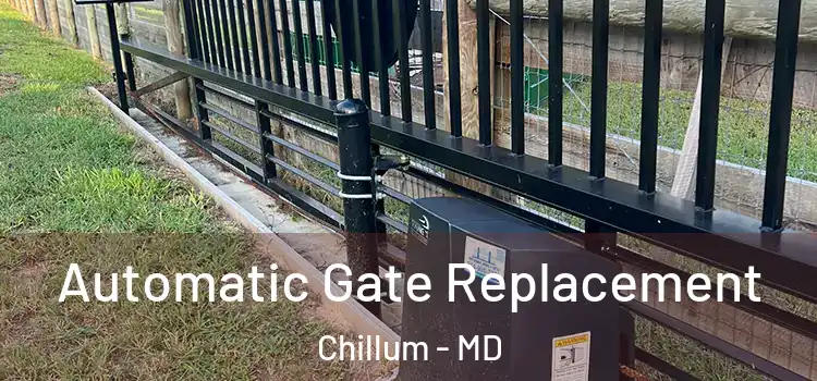Automatic Gate Replacement Chillum - MD