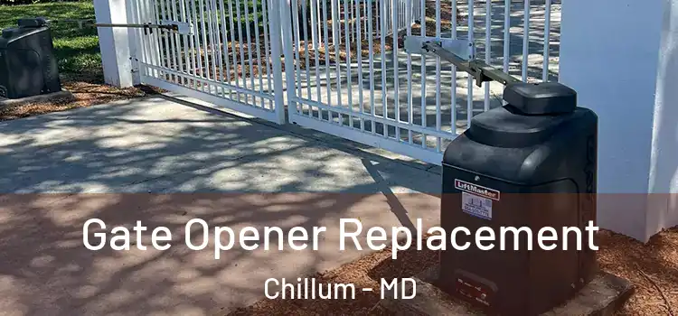 Gate Opener Replacement Chillum - MD