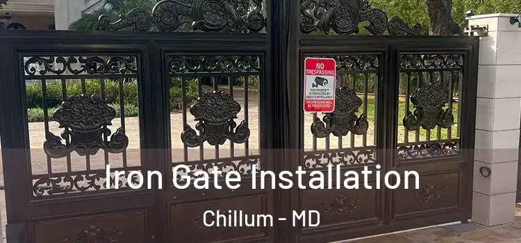 Iron Gate Installation Chillum - MD