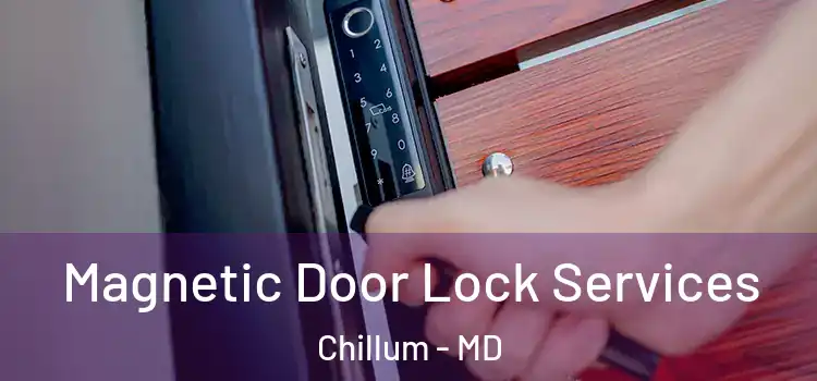 Magnetic Door Lock Services Chillum - MD