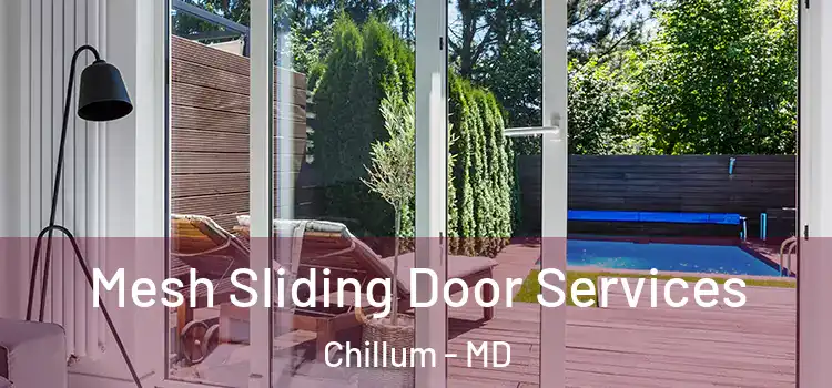 Mesh Sliding Door Services Chillum - MD