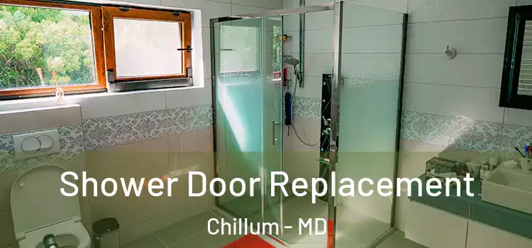 Shower Door Replacement Chillum - MD